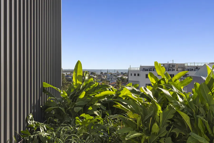Planting on an upper level beside a dark battened wall, with Moreton Bay on the horizon